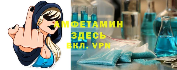 PSILOCYBIN Белокуриха