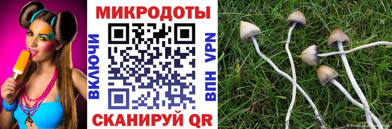 дарнет шоп Мезень blacksprut рабочий сайт Галлюциногенные грибы MAGIC MUSHROOMS